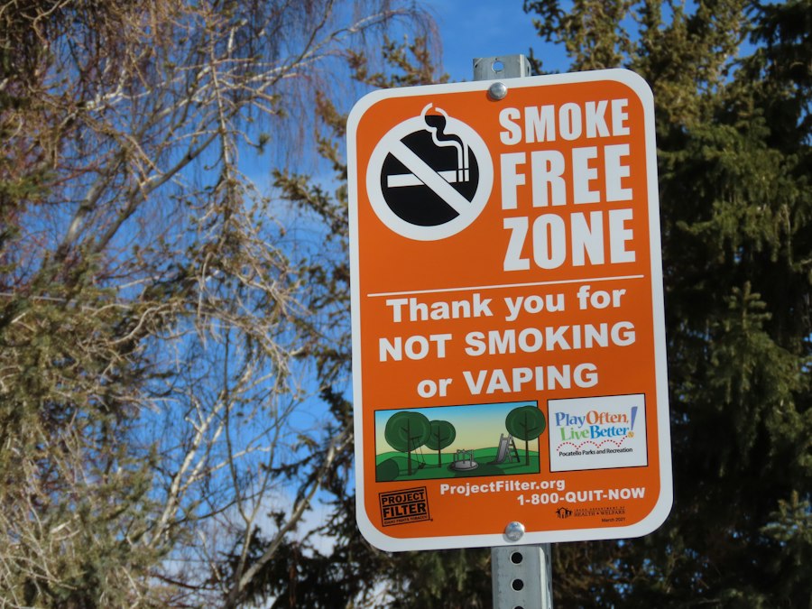 vape kit