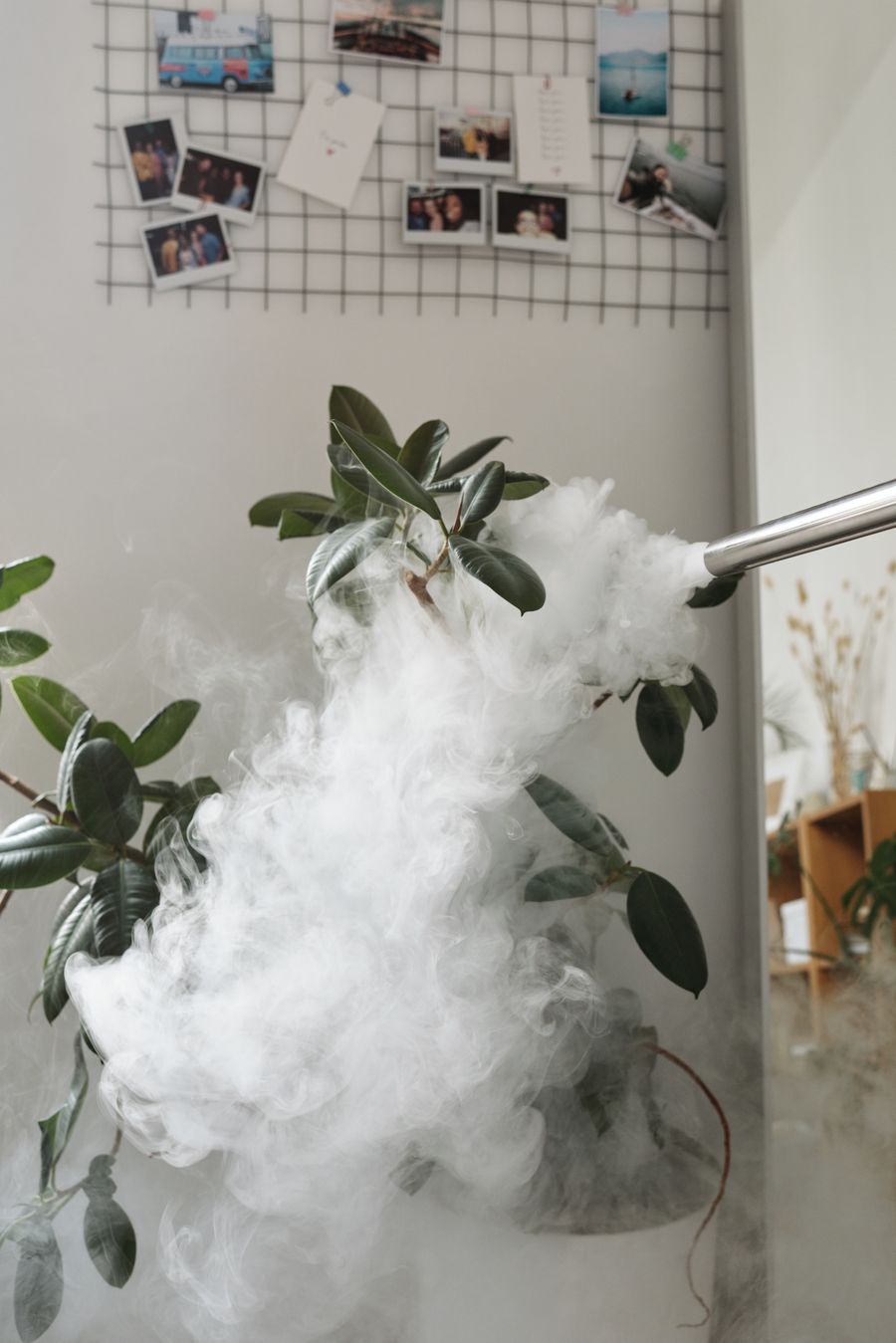 vape bundle